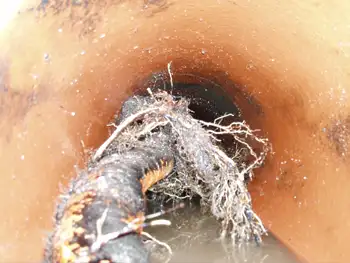 A CCTV drain survey shows root ingress in the drain pipe, requiring the removal of the roots.