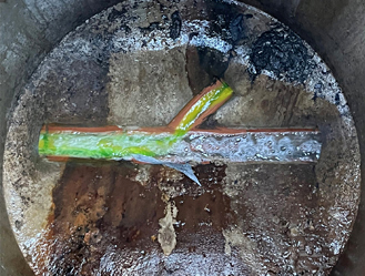 Colour Dye inserted to check if the drain pipe is flowing properly.