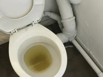 We Offer Jet and Drain Unblocking Services for Toilets in Both Homes and Business Properties.